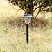 Solar Lawn Lamp